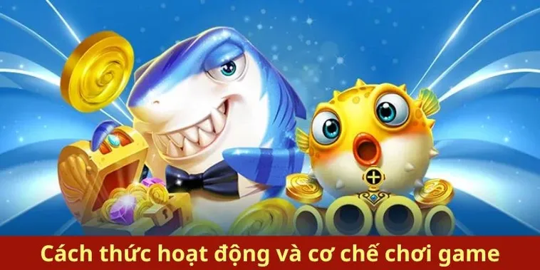Cách Chơi Bắn Cá Royal Fishing Tại 69VN Hấp Dẫn Nhất 2025 2 Cách Chơi Bắn Cá Royal Fishing Tại 69VN Hấp Dẫn Nhất 2025